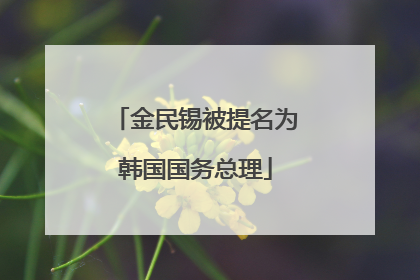 金民锡被提名为韩国国务总理