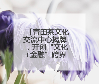 青田茶文化交流中心揭牌，开创“文化+金融”跨界新模式