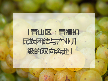 青山区：青福镇民族团结与产业升级的双向奔赴