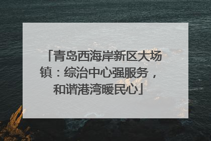 青岛西海岸新区大场镇：综治中心强服务，和谐港湾暖民心