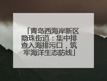 青岛西海岸新区隐珠街道：集中排查入海排污口，筑牢海洋生态防线