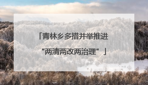 青林乡多措并举推进“两清两改两治理”