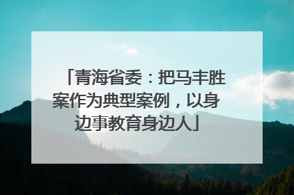 青海省委：把马丰胜案作为典型案例，以身边事教育身边人