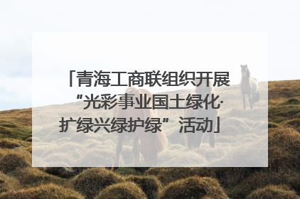 青海工商联组织开展“光彩事业国土绿化·扩绿兴绿护绿”活动