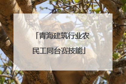 青海建筑行业农民工同台赛技能