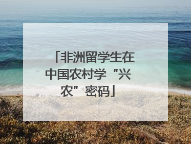 非洲留学生在中国农村学“兴农”密码
