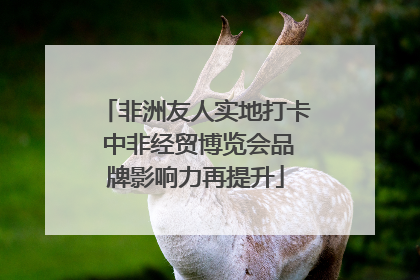 非洲友人实地打卡 中非经贸博览会品牌影响力再提升
