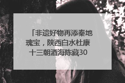 非遗好物再添秦地瑰宝，陕西白水杜康十三朝酒海陈藏30年别具一格