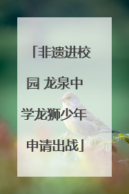 非遗进校园 龙泉中学龙狮少年申请出战