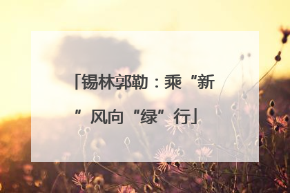 锡林郭勒：乘“新”风向“绿”行