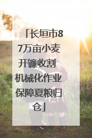 长垣市87万亩小麦开镰收割 机械化作业保障夏粮归仓