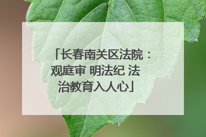 长春南关区法院：观庭审 明法纪 法治教育入人心