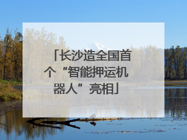 长沙造全国首个“智能押运机器人”亮相