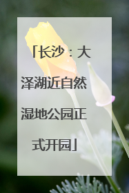 长沙：大泽湖近自然湿地公园正式开园