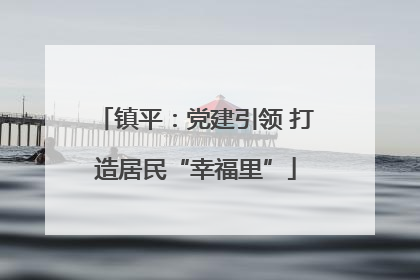 镇平：党建引领 打造居民“幸福里”