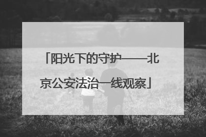 阳光下的守护——北京公安法治一线观察