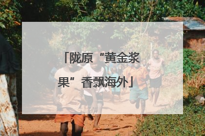 陇原“黄金浆果”香飘海外