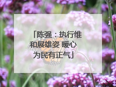 陈强：执行维和展雄姿 暖心为民有正气