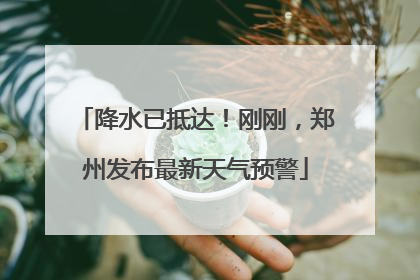 降水已抵达！刚刚，郑州发布最新天气预警