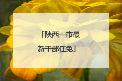 陕西一市最新干部任免