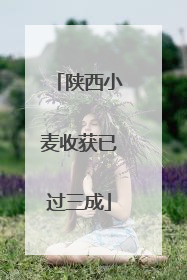 陕西小麦收获已过三成