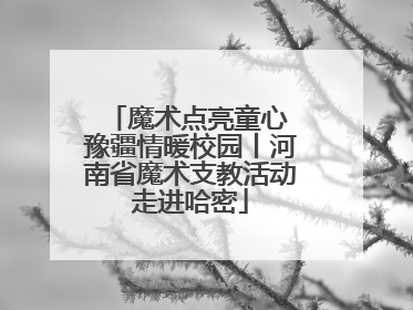 魔术点亮童心 豫疆情暖校园丨河南省魔术支教活动走进哈密