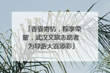 香囊寄情，粽享荣耀，武汉文旅志愿者为导游大赛添彩