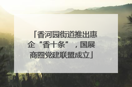香河园街道推出惠企“香十条”，国展商圈党建联盟成立