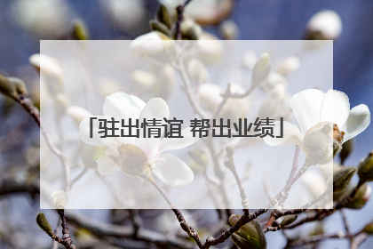 驻出情谊 帮出业绩