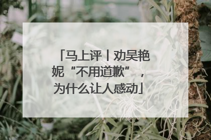 马上评丨劝吴艳妮“不用道歉”，为什么让人感动