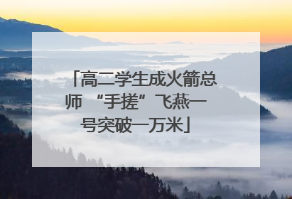 高二学生成火箭总师 “手搓”飞燕一号突破一万米