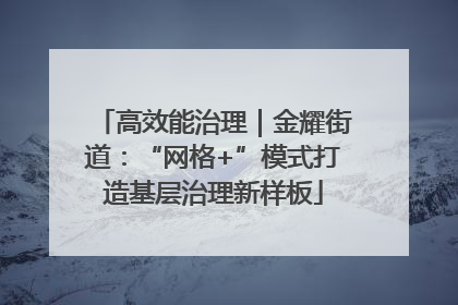 高效能治理｜金耀街道：“网格+”模式打造基层治理新样板