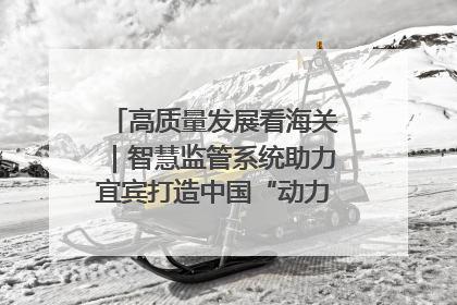 高质量发展看海关｜智慧监管系统助力宜宾打造中国“动力电池之都”