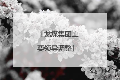 龙煤集团主要领导调整