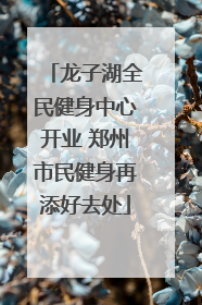 龙子湖全民健身中心开业 郑州市民健身再添好去处