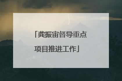 龚振宙督导重点项目推进工作