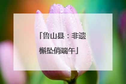 鲁山县：非遗槲坠俏端午