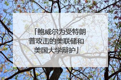 鲍威尔为受特朗普攻击的美联储和美国大学辩护