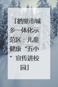 鹤壁市城乡一体化示范区：儿童健康“五小”宣传进校园