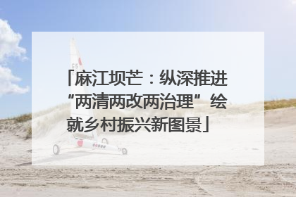 麻江坝芒：纵深推进“两清两改两治理”绘就乡村振兴新图景