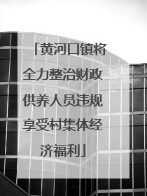 黄河口镇将全力整治财政供养人员违规享受村集体经济福利
