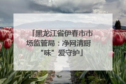 黑龙江省伊春市市场监管局：净网清厨 “味”爱守护