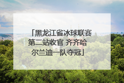 黑龙江省冰球联赛第二站收官 齐齐哈尔兰迪一队夺冠