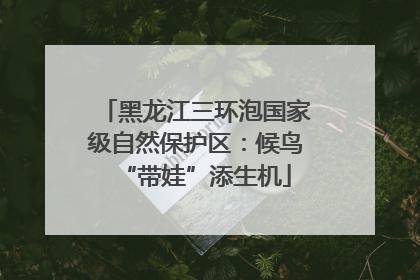 黑龙江三环泡国家级自然保护区：候鸟“带娃”添生机