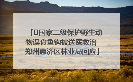 ﻿国家二级保护野生动物误食鱼钩被送医救治 郑州惠济区林业局回应