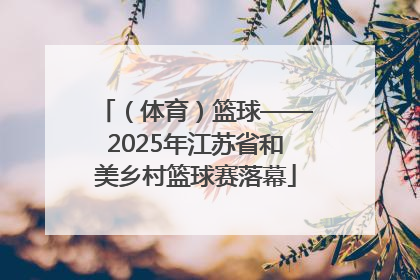 （体育）篮球——2025年江苏省和美乡村篮球赛落幕