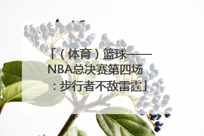 （体育）篮球——NBA总决赛第四场：步行者不敌雷霆