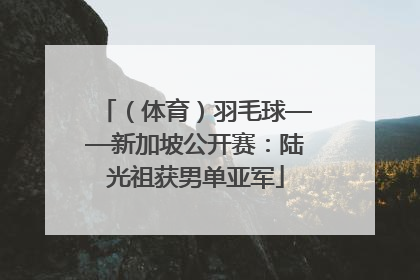 （体育）羽毛球——新加坡公开赛：陆光祖获男单亚军