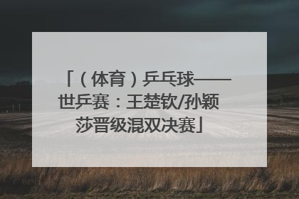 （体育）乒乓球——世乒赛：王楚钦/孙颖莎晋级混双决赛