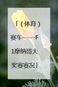 （体育）赛车——F1摩纳哥大奖赛赛况
